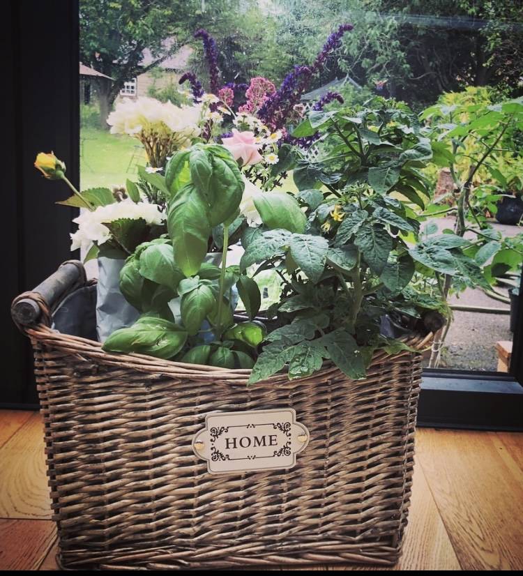 garden gift basket